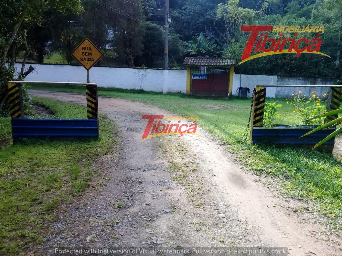 T25 (19)
