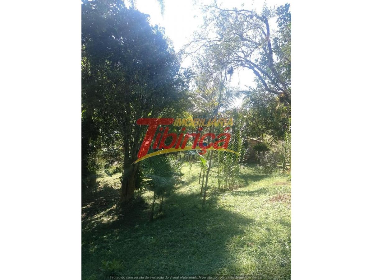 T71 (2)