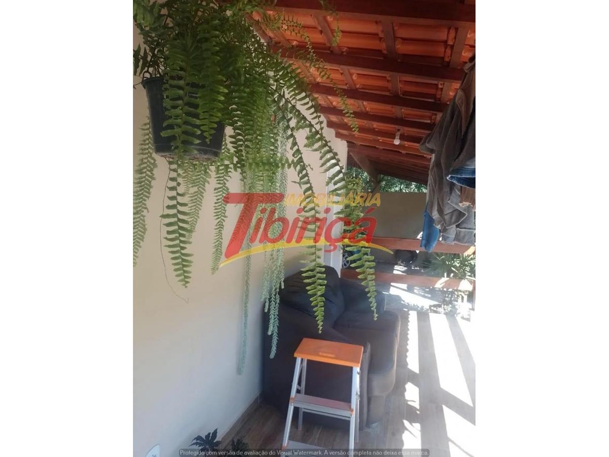 T71 (3)