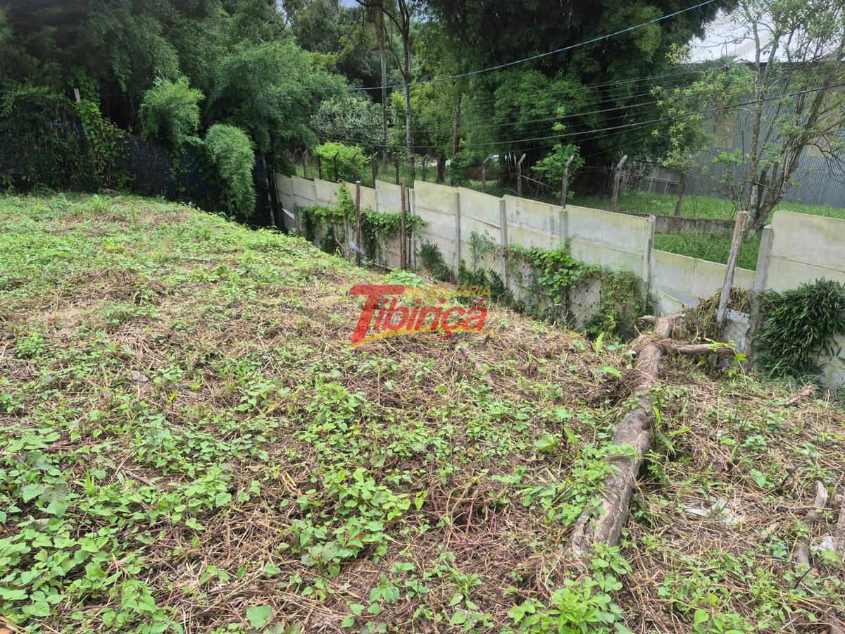 Área à Venda na Rua Nhonho de Lima – Palmeiras | 1.600m²